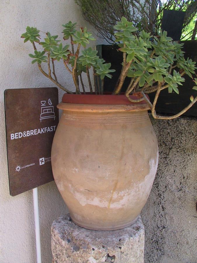 B&B Il Rustico Turate Exteriér fotografie
